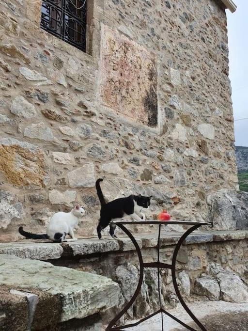 A Small Paradise In Mani With Local Hospitality Orovas Bagian luar foto